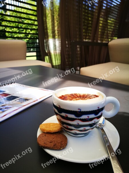 Coffee Biscuit Cookie Espresso Sugar