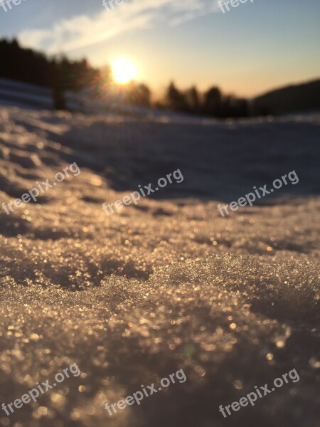 Snow Crystal Frost Ice Crystal Wintry