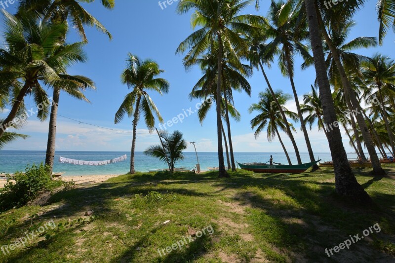 Sea Palm Trees Beach Vacations Island