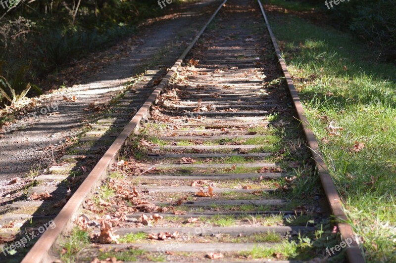 Train Tracks Rail Railroad Train Tracks