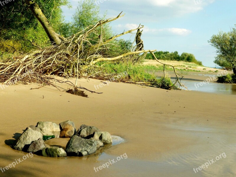 Elbstrand Same Tree Roots Elbe Bank Walk On The Beach