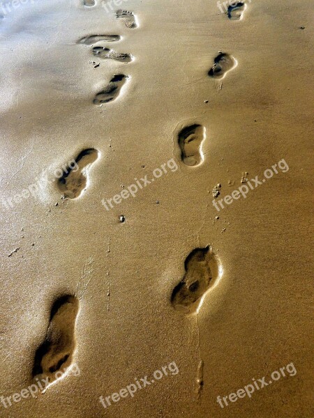 Beach Sand Traces Tracks In The Sand Feet