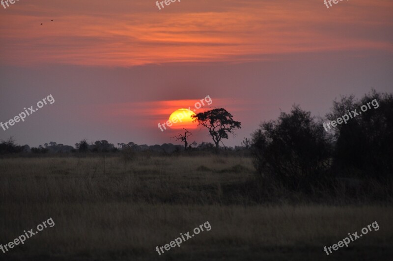 Sunset Botswana Okavango Free Photos