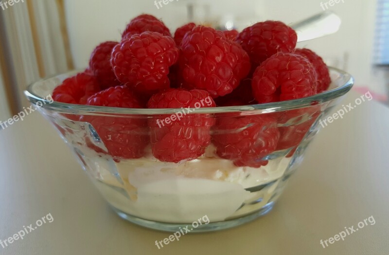 Dessert Raspberry Cream Delicious Sweet Dish