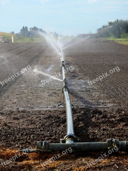 Field Arable Agriculture Landscape Nature