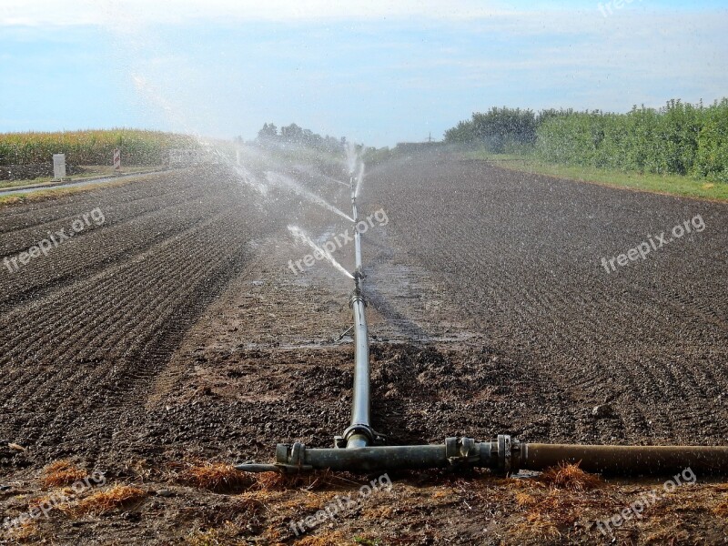 Field Arable Agriculture Landscape Nature