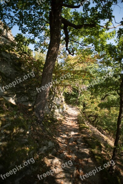 Rock Stones Nature Steinig Climbing