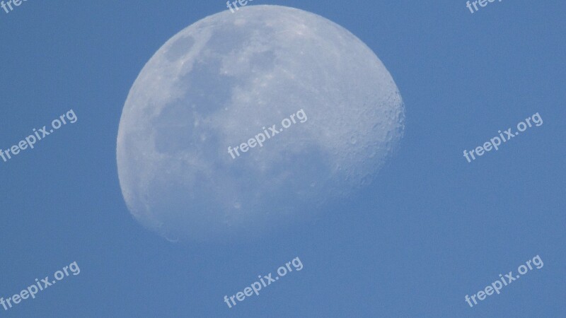 Moon Linda Nunes Free Photos