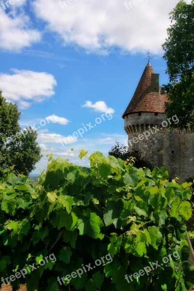 France Dordogne Périgord Castle Vine