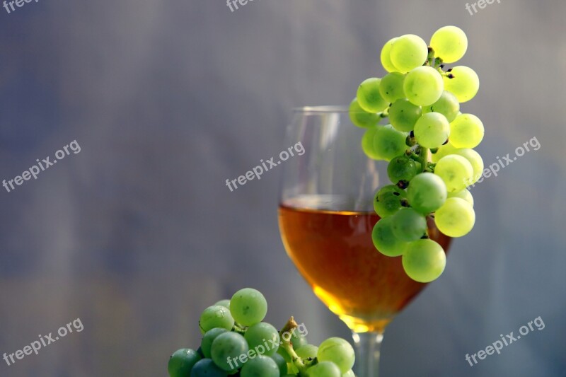 Wine Vintage Vines Healthy Food Natural