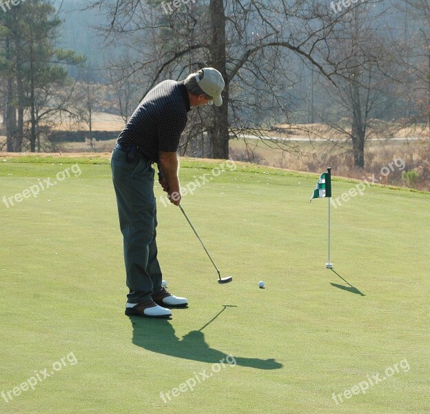 Golfer Putting Green Golf Sport