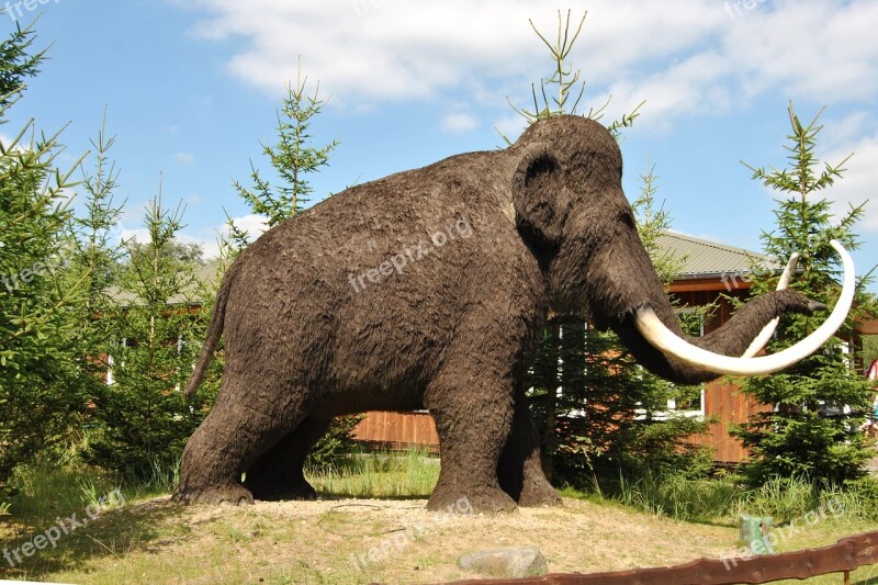 Sculpture Animal Sculpture Wool Mammoth Urzeittier Landscape