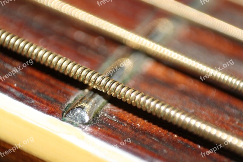 Guitar String Instrument Stringed Instrument Close Up