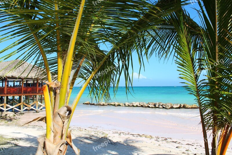 Palm Vacancy Tropics Landscapes Beach