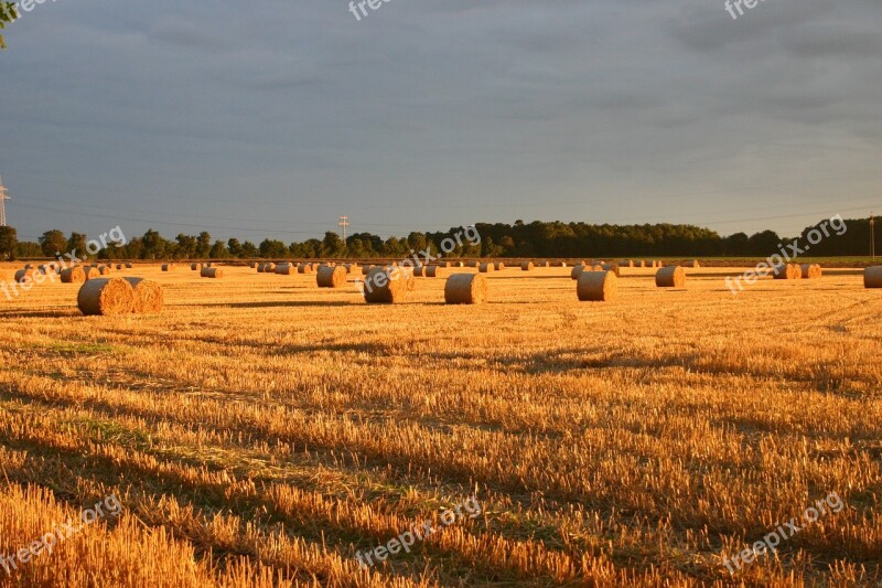 Summer Straw Field Sunset Landscape