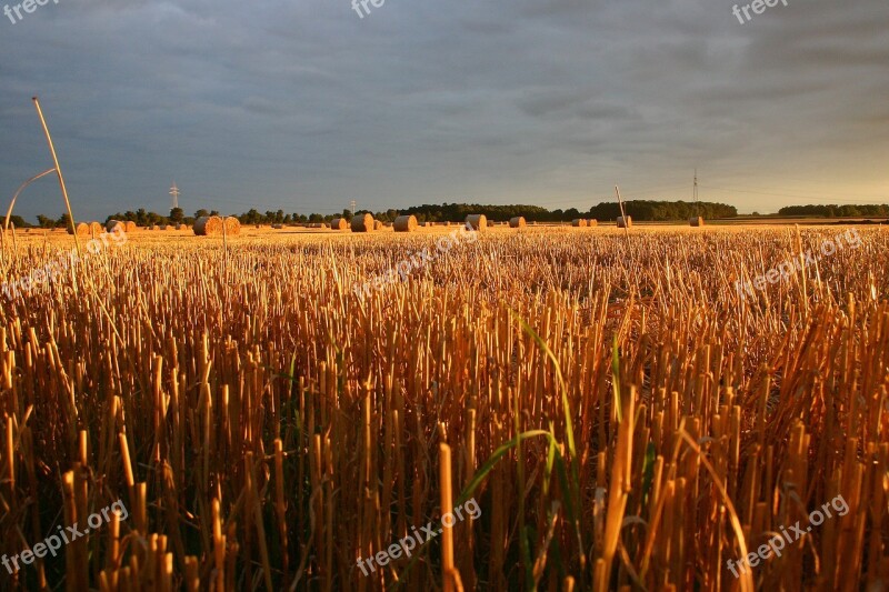 Summer Straw Field Sunset Landscape