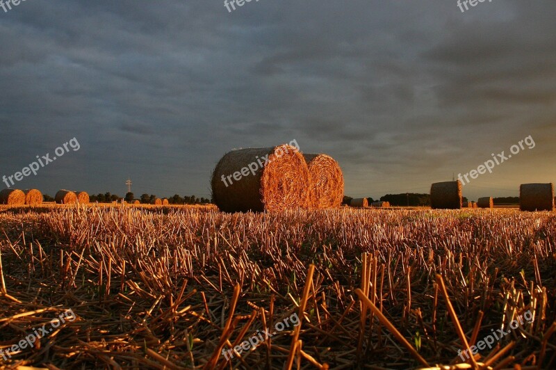 Summer Straw Field Sunset Landscape