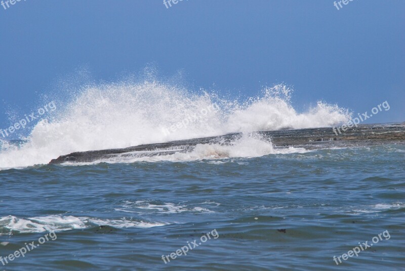 Sea Beach Surf Wave Spray