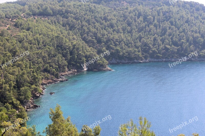 Turkey Muğla Akbuk Nature Forest