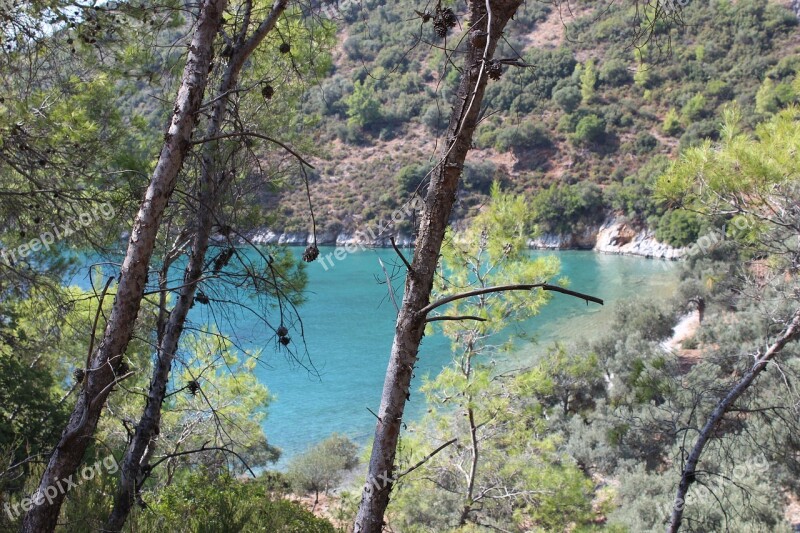 Turkey Muğla Akbuk Nature Forest