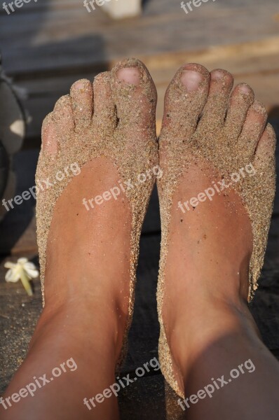 Feet Sand Beach Foot Barefoot