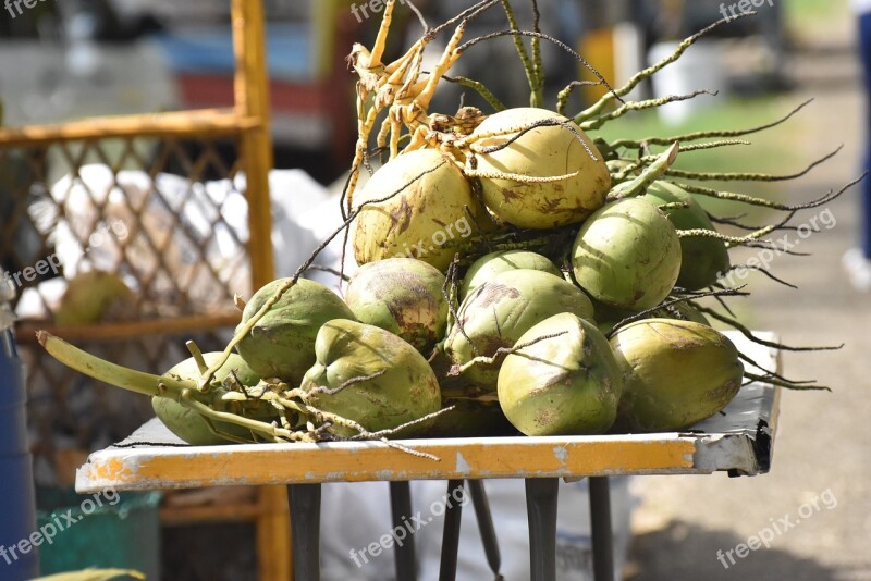 Coconuts Vendor Raw Food Drink