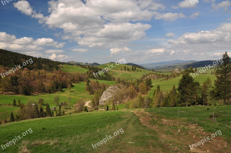 Meadow Nature View Landscape Green