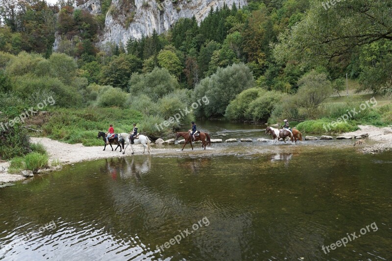 Horses Danube Water Ride Sport