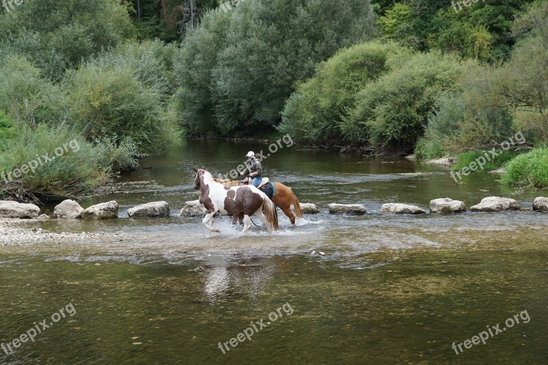 Horses Danube Water Ride Sport