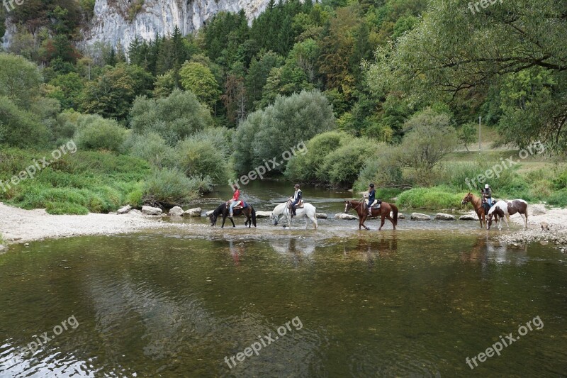 Horses Danube Water Ride Sport