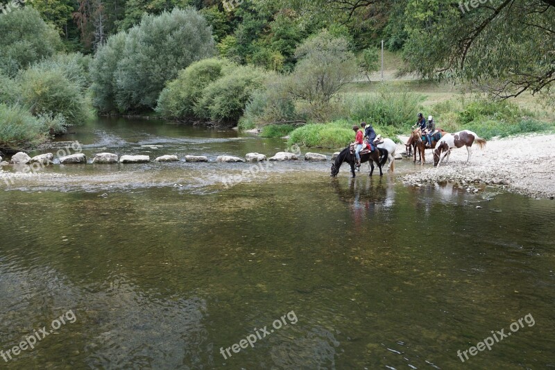 Horses Danube Water Ride Sport