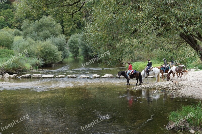 Horses Danube Water Ride Sport