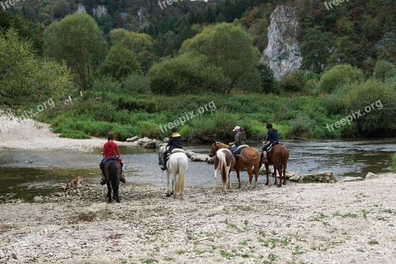 Horses Danube Water Ride Sport