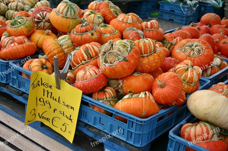 Pumpkin Pumpkins Sale Nature Vegetables