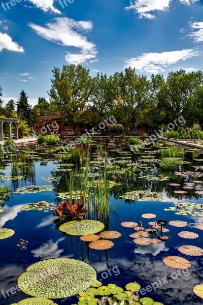 Denver Colorado Botanic Gardens Botanical Plants