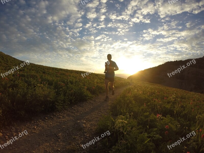 Sunrise Running Runner Morning Nature