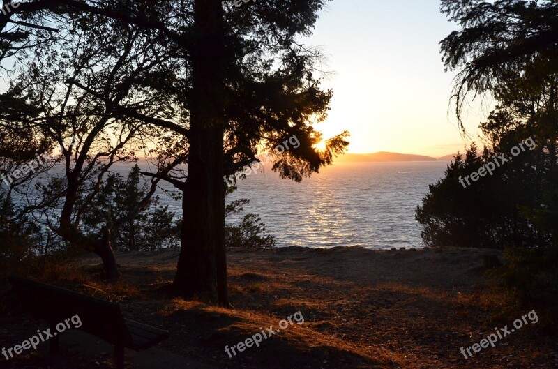 Nature Outdoor Landscape Sunset Tree