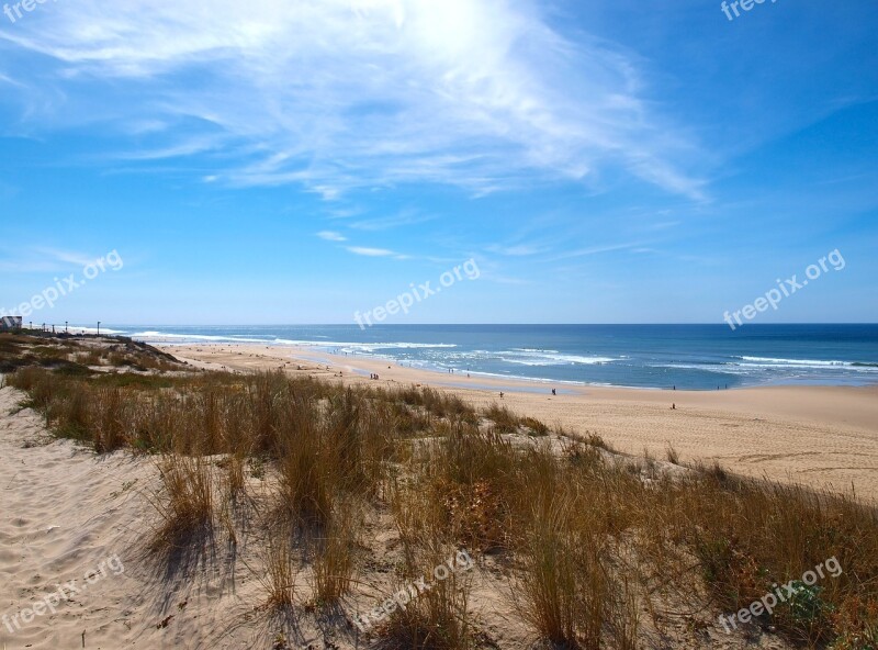 Beach Dunes Ocean Seaside Sea