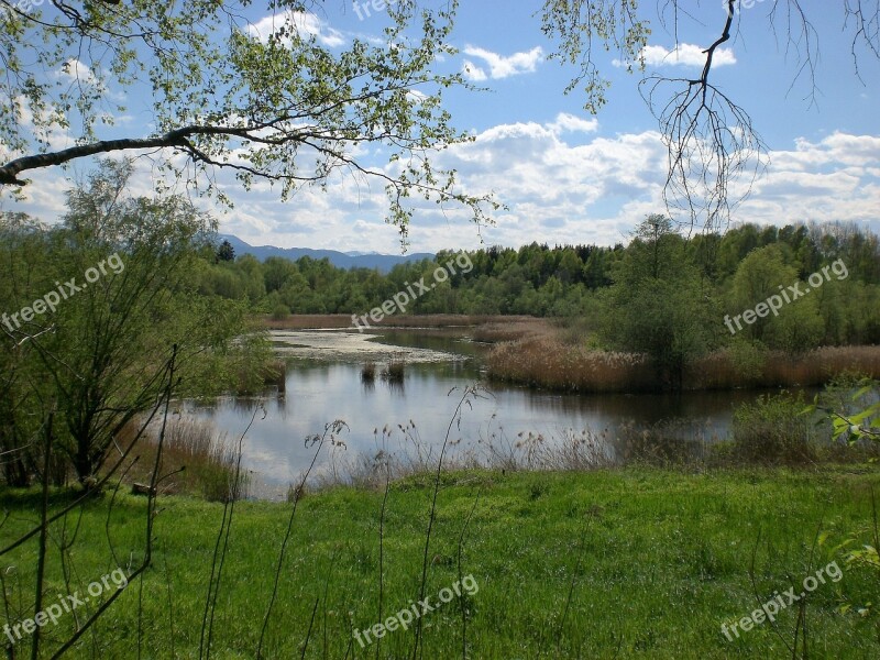 Nature Pond Water Reserve Lake