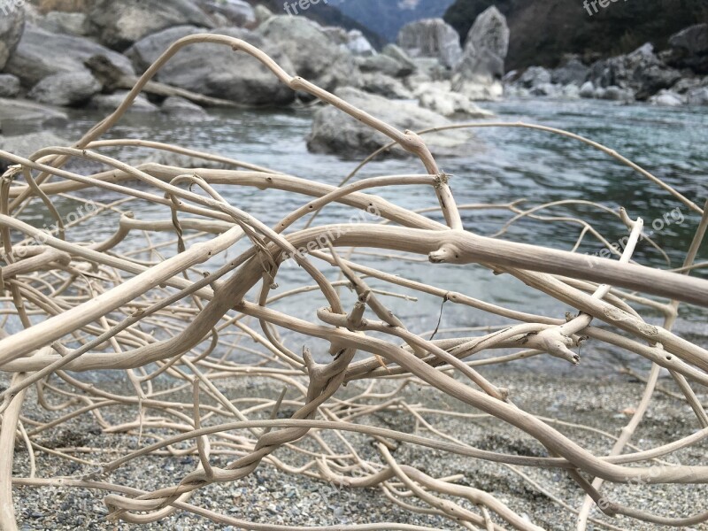 Driftwood River Dry Riverbed Babble Wood