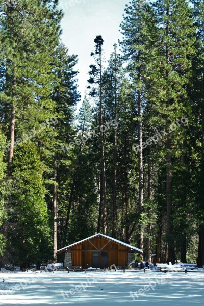 Yosemite Log House Mountain Hut Arboretum Woods