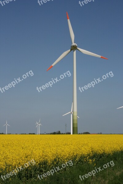 Pinwheel North Sea Field Of Rapeseeds Renewable Energy Wind Energy