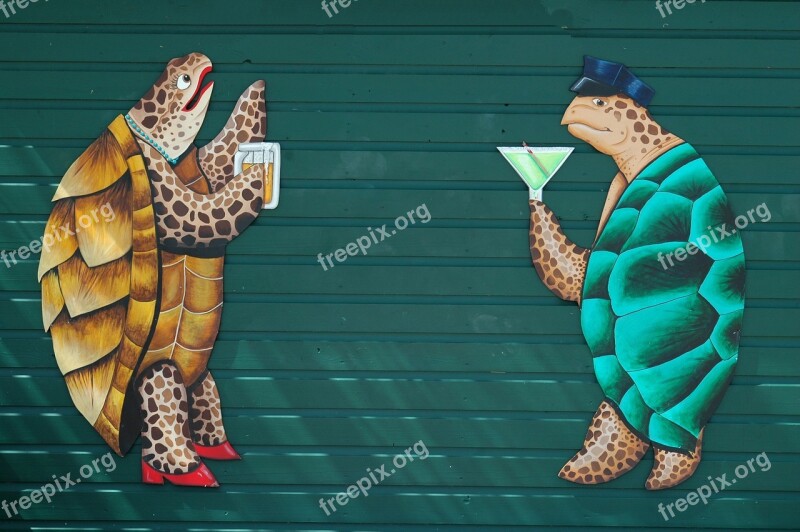 Wall Mural Graphic Art Turtle Reptile Colorful