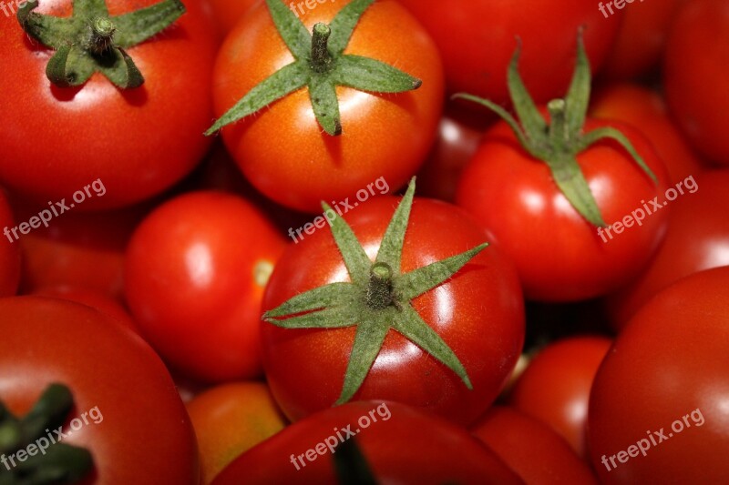 Tomatoes Red Vegetables Harvest Food