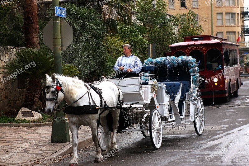 Carriage Horse-drawn Trolley Transportation Horse