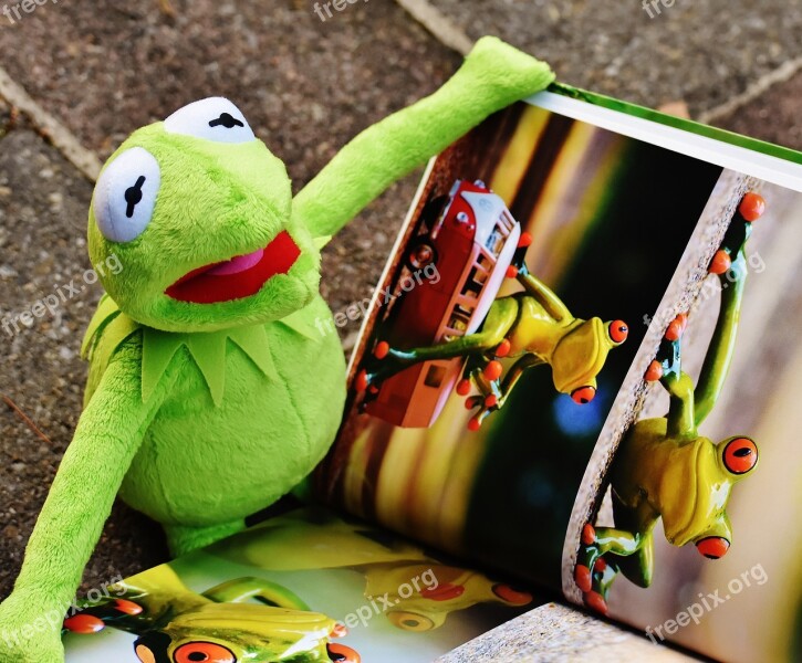 Kermit Book Picture Book To Watch Frog