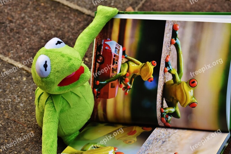 Kermit Book Picture Book To Watch Frog