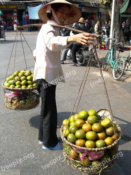 Fruit Trade Viet Nam Balance Free Photos