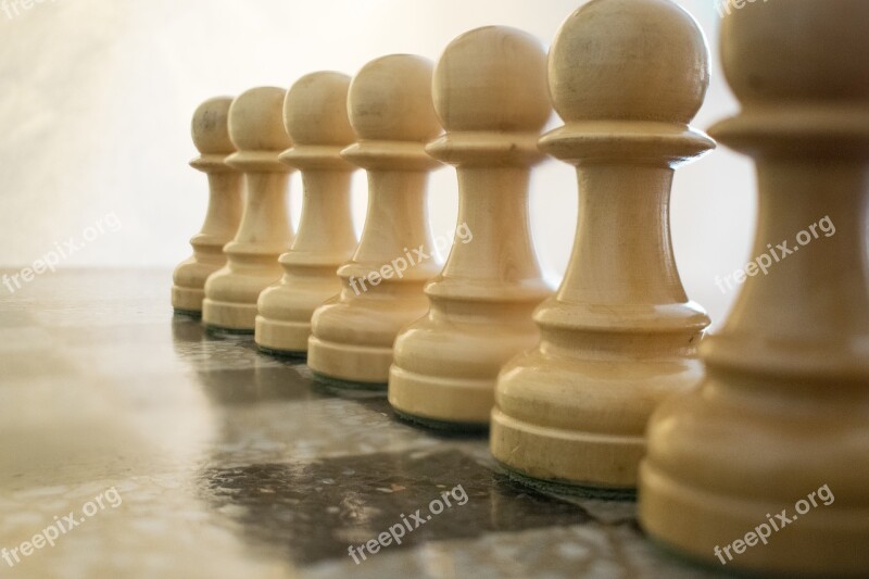 Chess White Pawns Parts Pawns Game