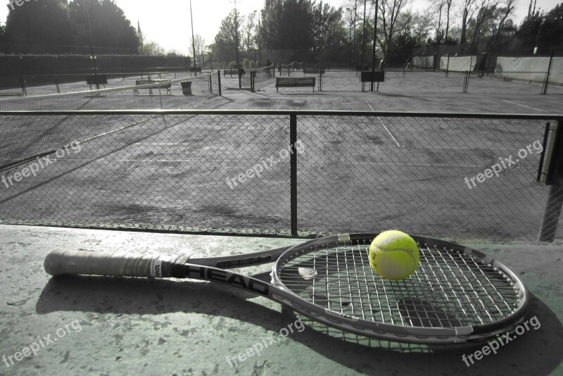 Tennis Sport Tennis Ball Free Photos